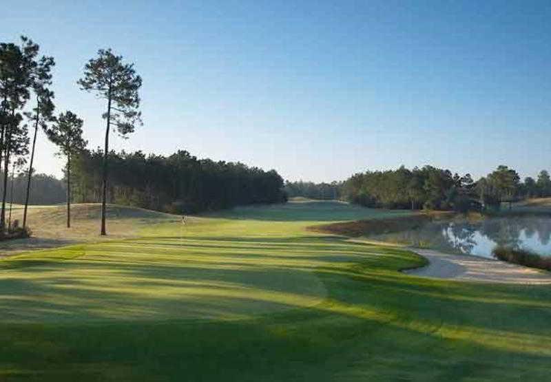 Fairfield Inn & Suites Orange Beach Dış mekan fotoğraf